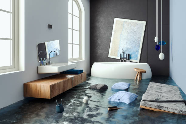 Best Professional water damage repair  in Farmville, NC