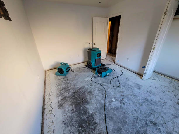 Best Water damage restoration near me  in Farmville, NC
