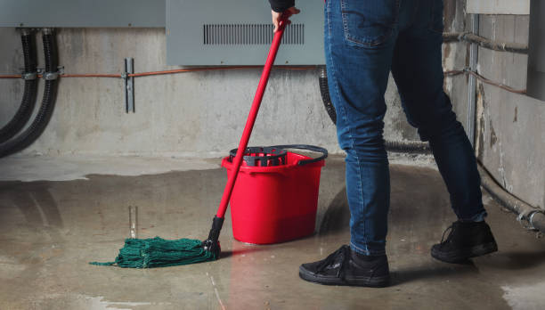 Best Residential water damage restoration  in Farmville, NC