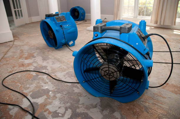 Best 24/7 water damage repair  in Farmville, NC